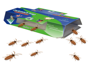 Public Health pest control-Cockroach house-04