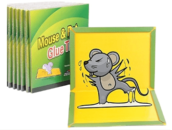 Public Health pest control-Mouse paper trap-05